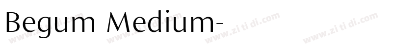 Begum Medium字体转换